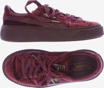 PUMA Sneaker 36 in Rot: predná strana