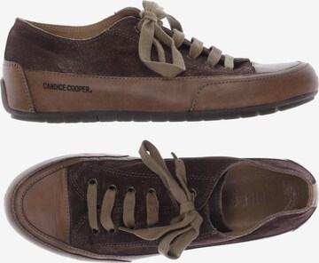 Candice Cooper Sneakers & Trainers in 38,5 in Brown: front