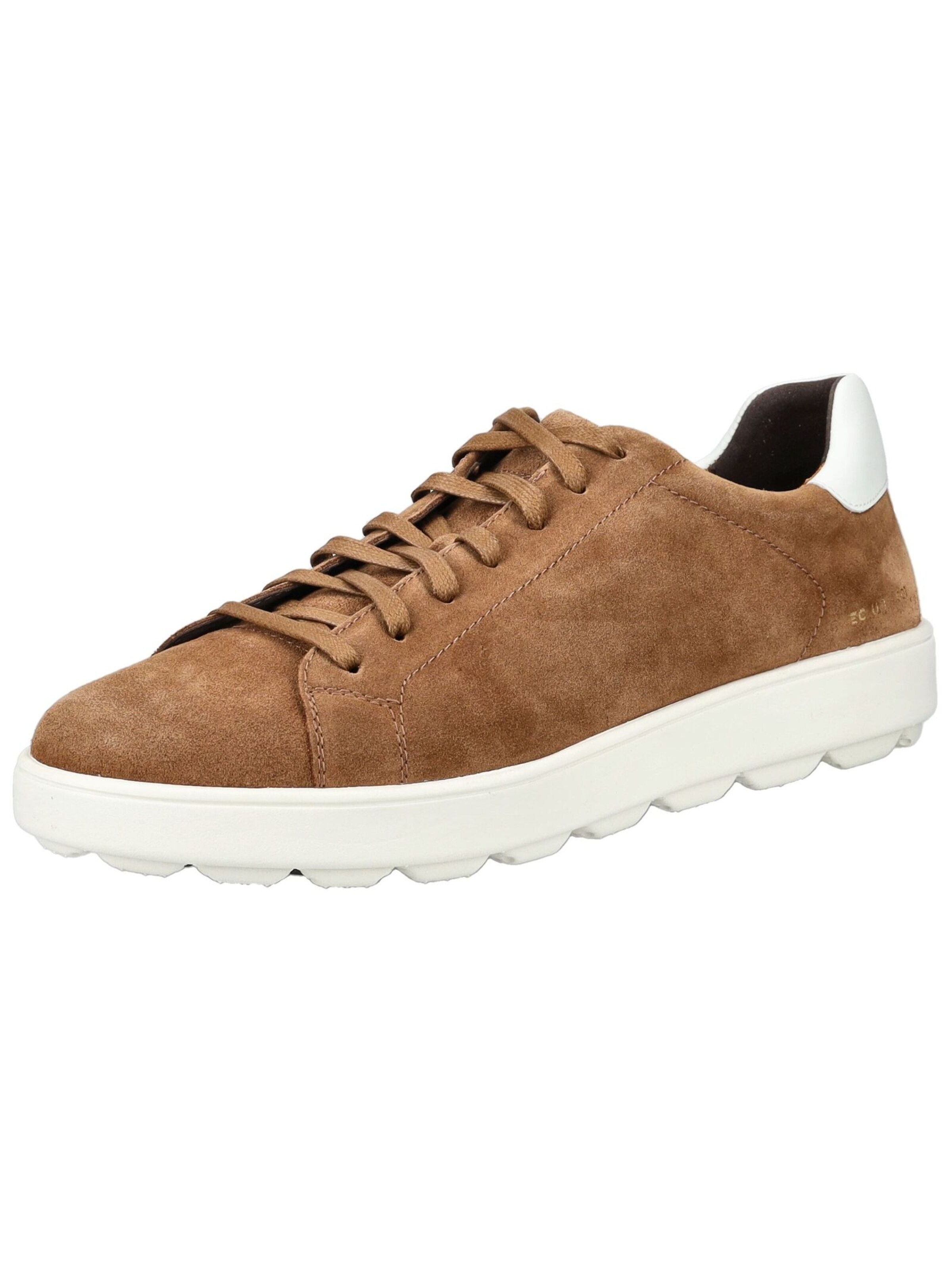 Sneaker bassa di GEOX in marrone: frontale