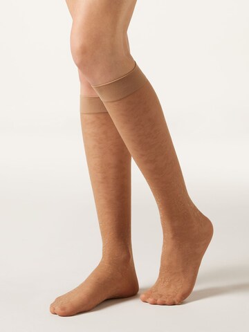 CALZEDONIA Knee High Socks in Beige: front