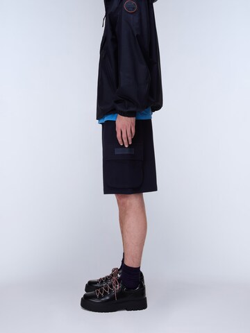 NAPAPIJRI Štandardný strih Nohavice 'N-BOX LOGO CARGO' - Modrá