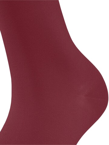 FALKE Socken 'Cotton Touch'‌‌‌‌‌‌ in Rot