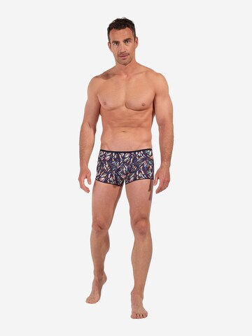 HOM Trunk ' Viscaya ' in Blau