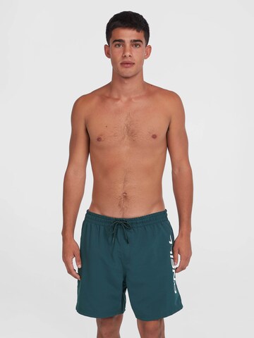 Pantaloncini da bagno 'Cali 16' di O'NEILL in blu: frontale