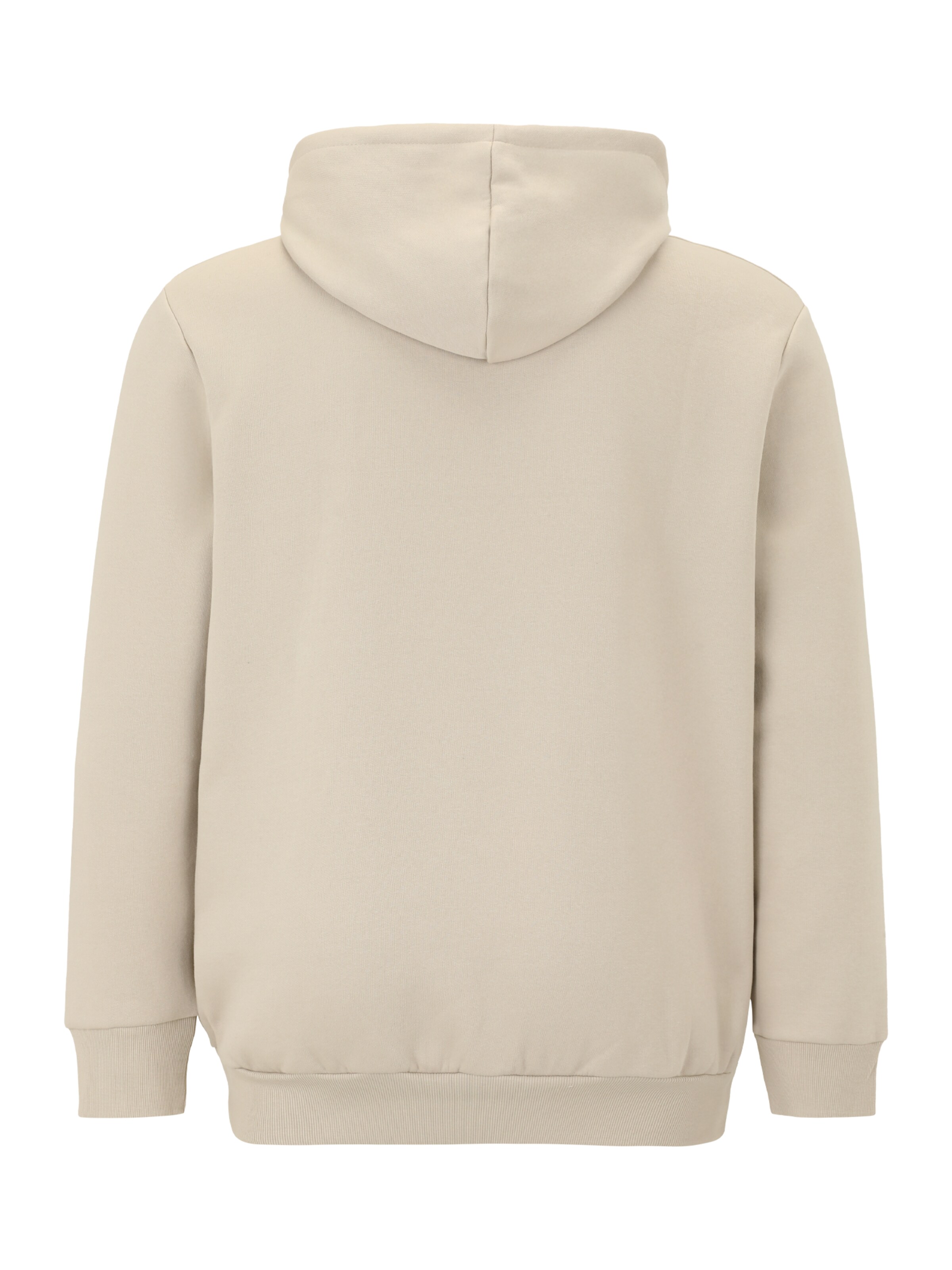 Jack & Jones Plus Sweatshirt in Grau