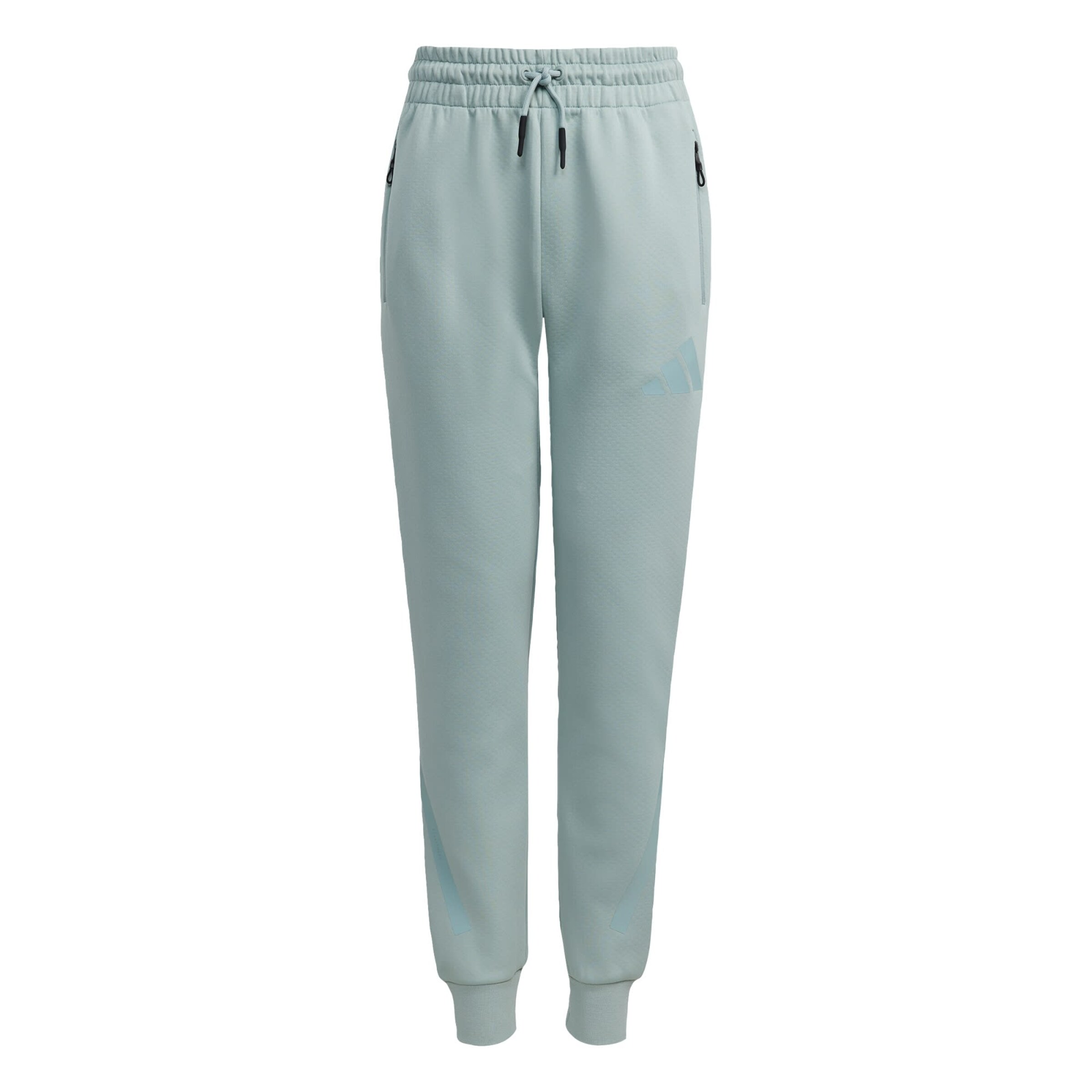 ADIDAS SPORTSWEAR - Pantalón deportivo 'Z.N.E.' en verde: frente