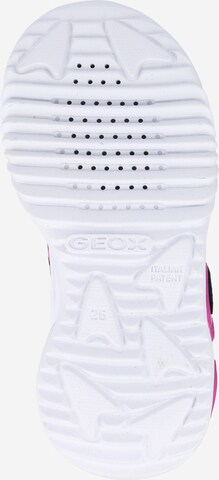 GEOX Sneakers 'Assister' in Mixed colors