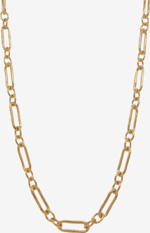 24Kae Necklace in Gold: front