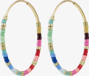 Pilgrim Korvakoru 'Alison' värissä kulta: etupuoli