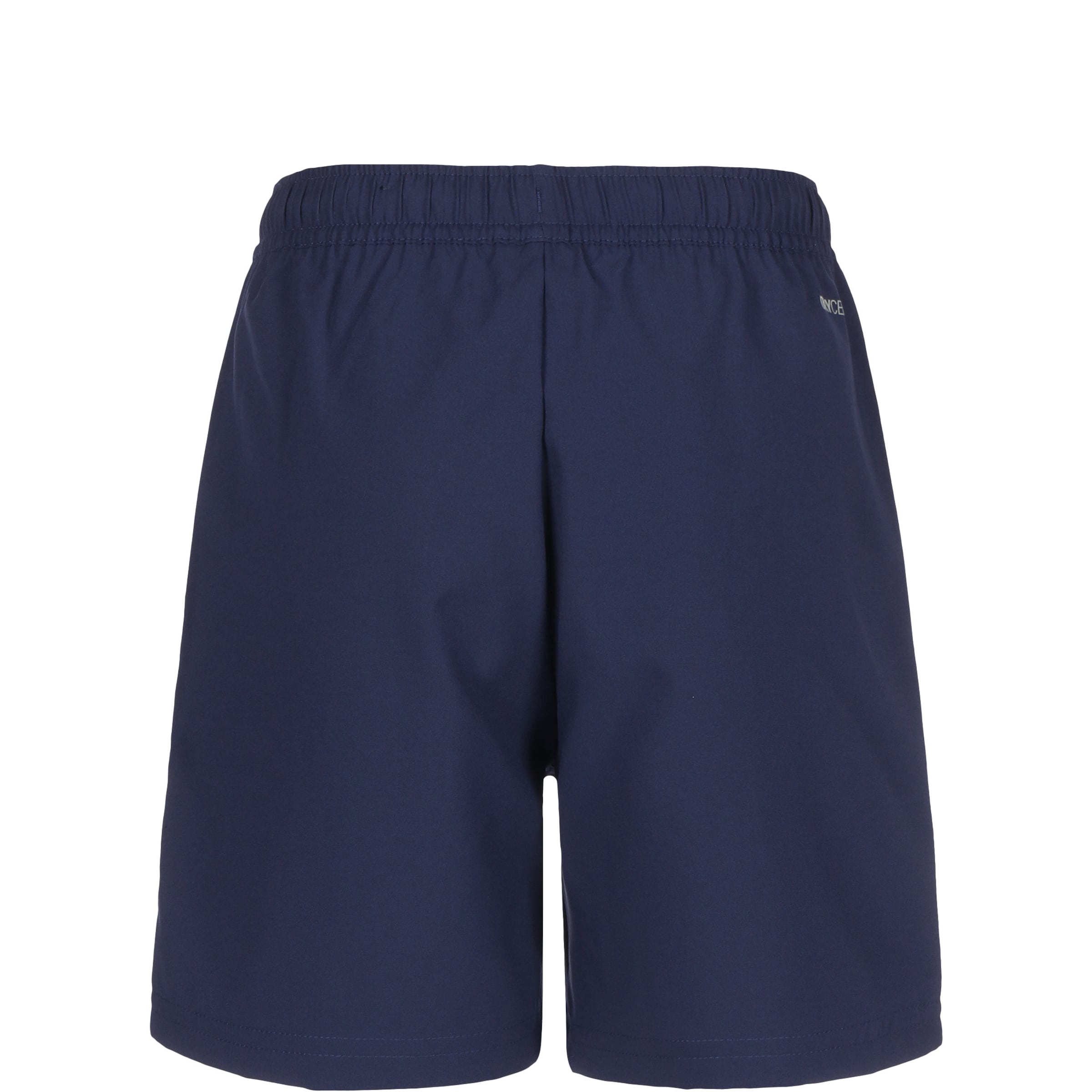 PUMA Regular Workout Pants 'Teamliga Sideline' in Blue