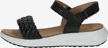 CAPRICE Sandals in Black