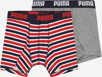 PUMA Boershorts in Grau: predná strana