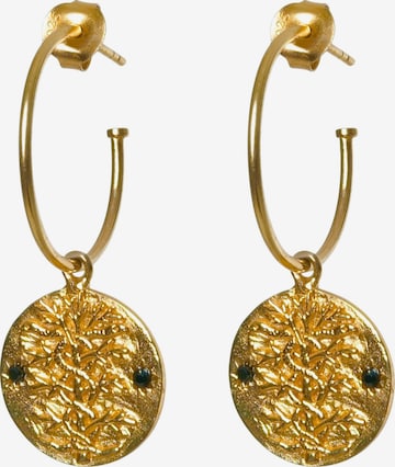 Haze&Glory Earrings 'Antidote' in Gold: front