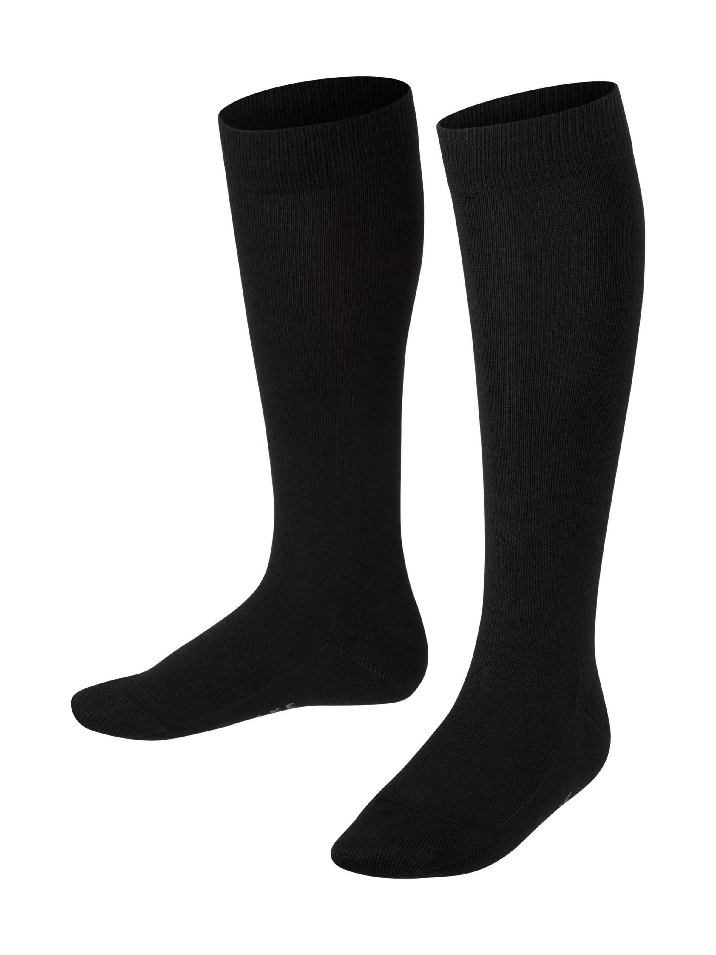 FALKE Socks 'Family' in Black: front