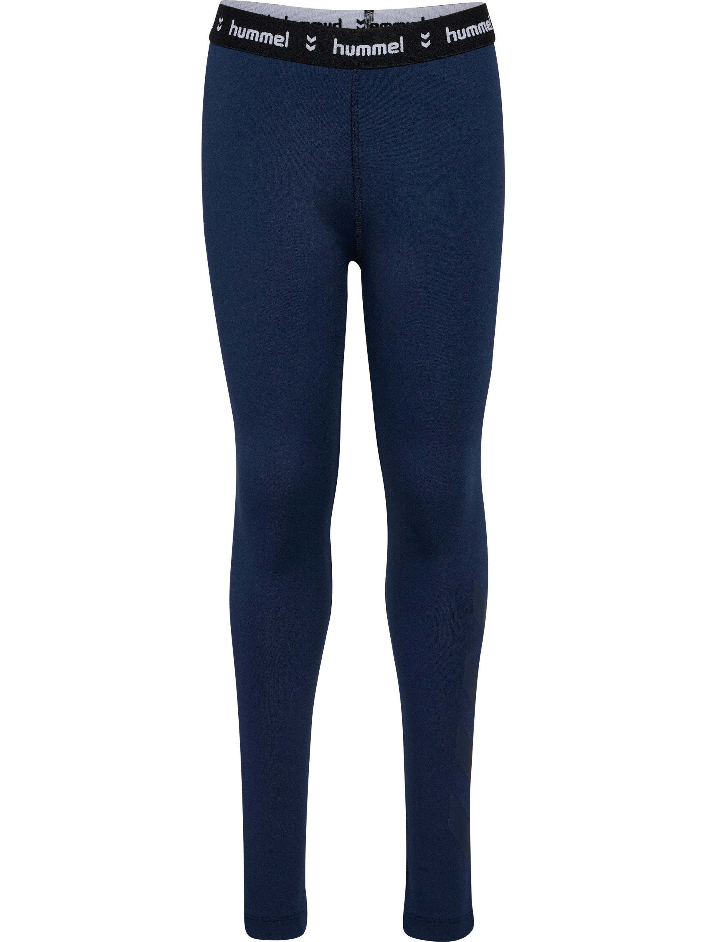 Hummel Sports trousers 'Pulse' in Blue: front