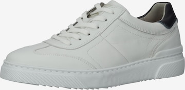 Pius Gabor Sneakers in White: front