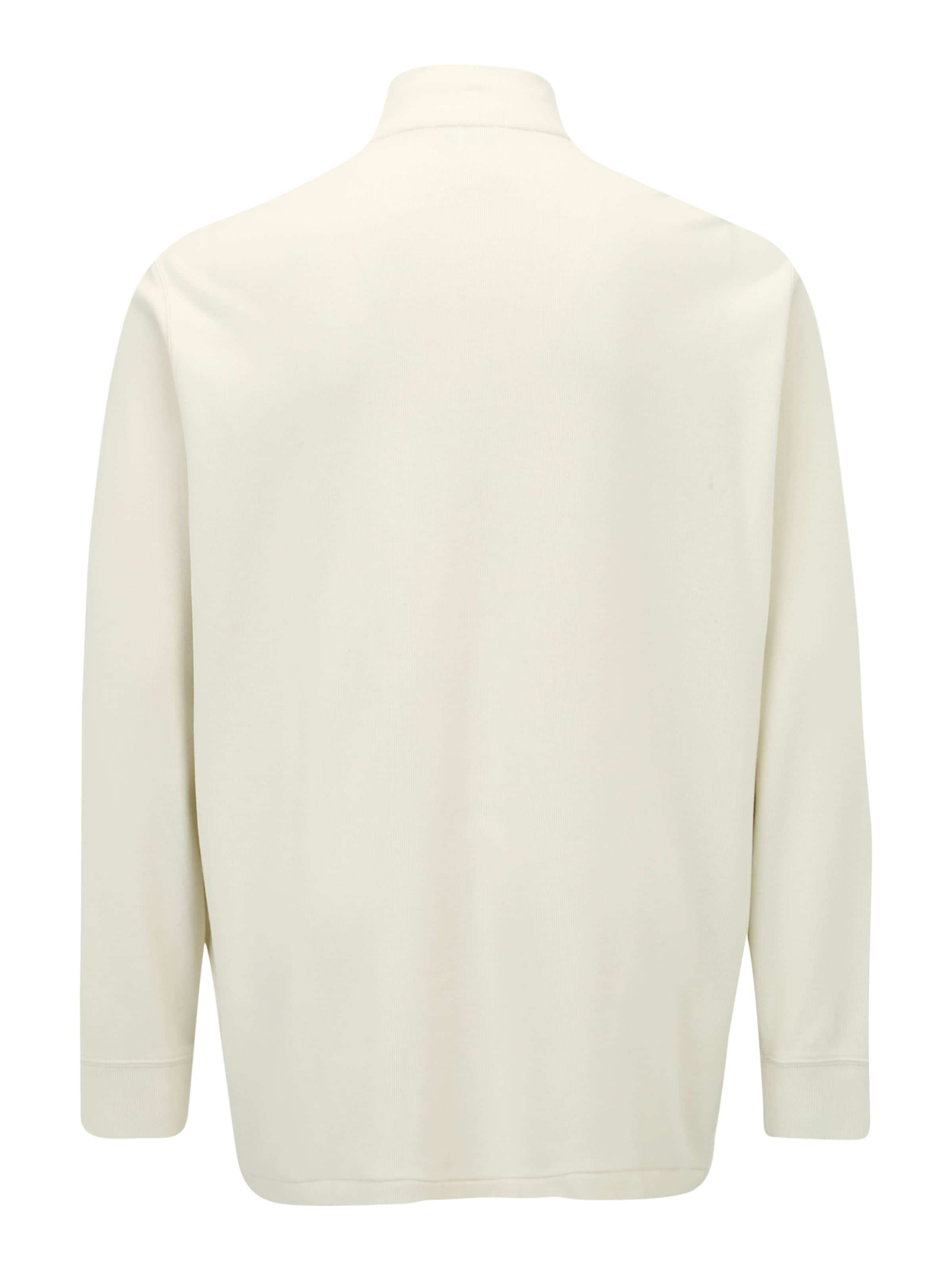 Pullover di Polo Ralph Lauren in beige