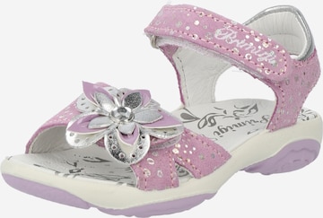 PRIMIGI Sandal in Pink: front