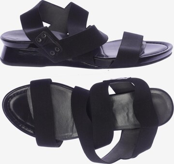 STEVE MADDEN Sandals & High-Heeled Sandals in 38,5 in Black: front