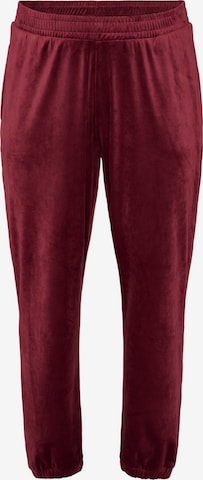 Effilé Pantalon Zizzi en rouge : devant