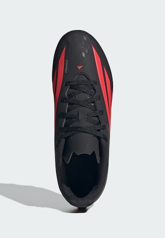 ADIDAS PERFORMANCE Fußballschuh 'F50 Club' in Schwarz