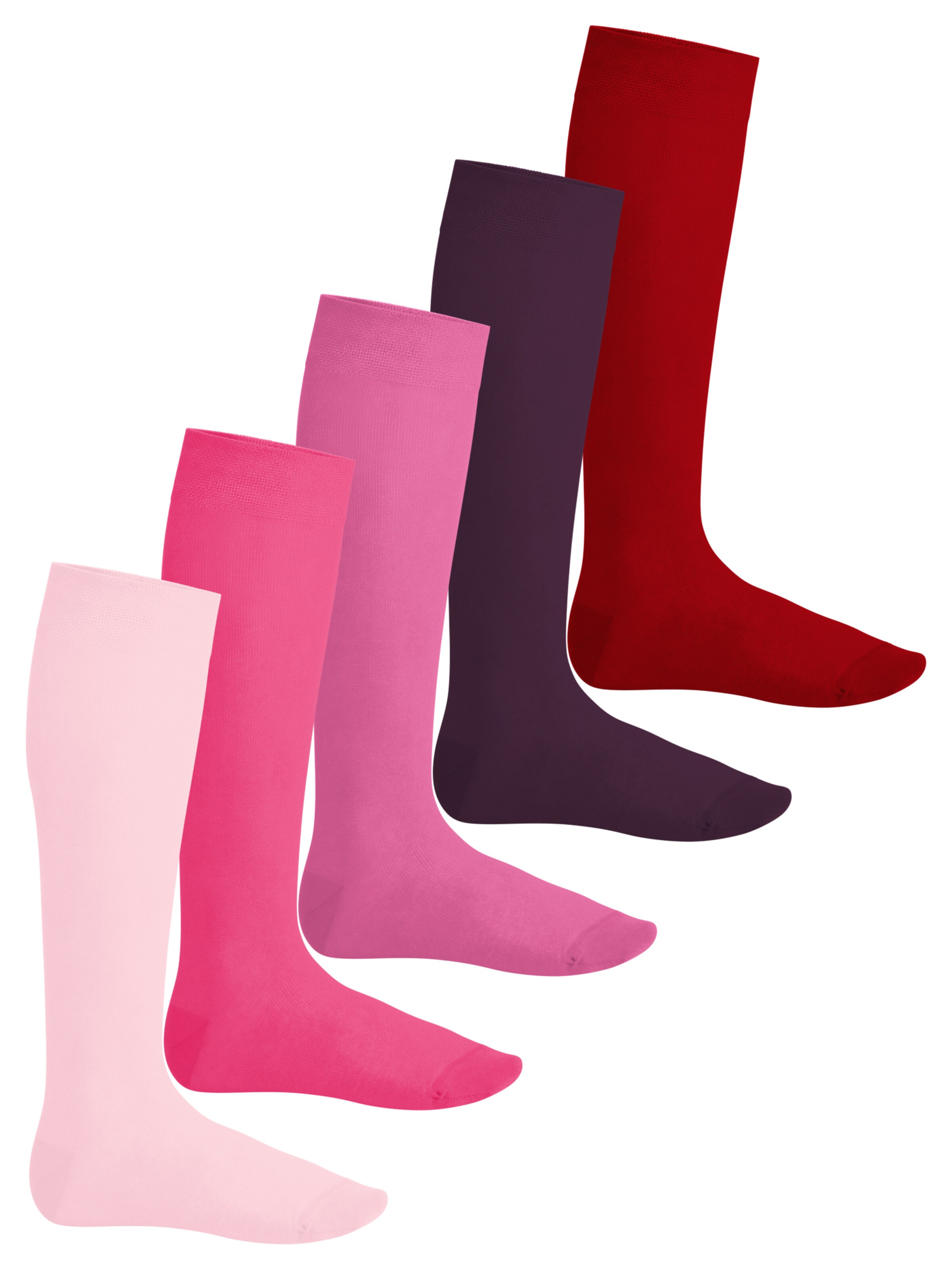 footstar Kniestrümpfe 'EVERYDAY!'‌‌‌‌‌‌‌‌‌‌ in Pink: Vorderseite