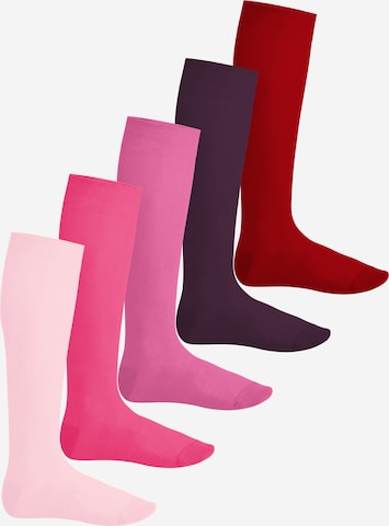 footstar Kniestrümpfe 'EVERYDAY!' in Pink: Vorderseite