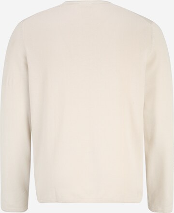 s.Oliver Men Big Sizes Pullover in Beige