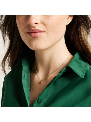 FOSSIL Jewelry Set in Gold