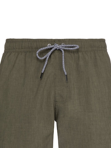 PROTEST Badeshorts 'DAVEY' in Grün