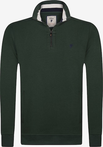 DENIM CULTURE Sweatshirt 'ALCINOO' in Green: front