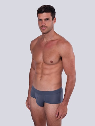 TAUWELL Panty in Grey