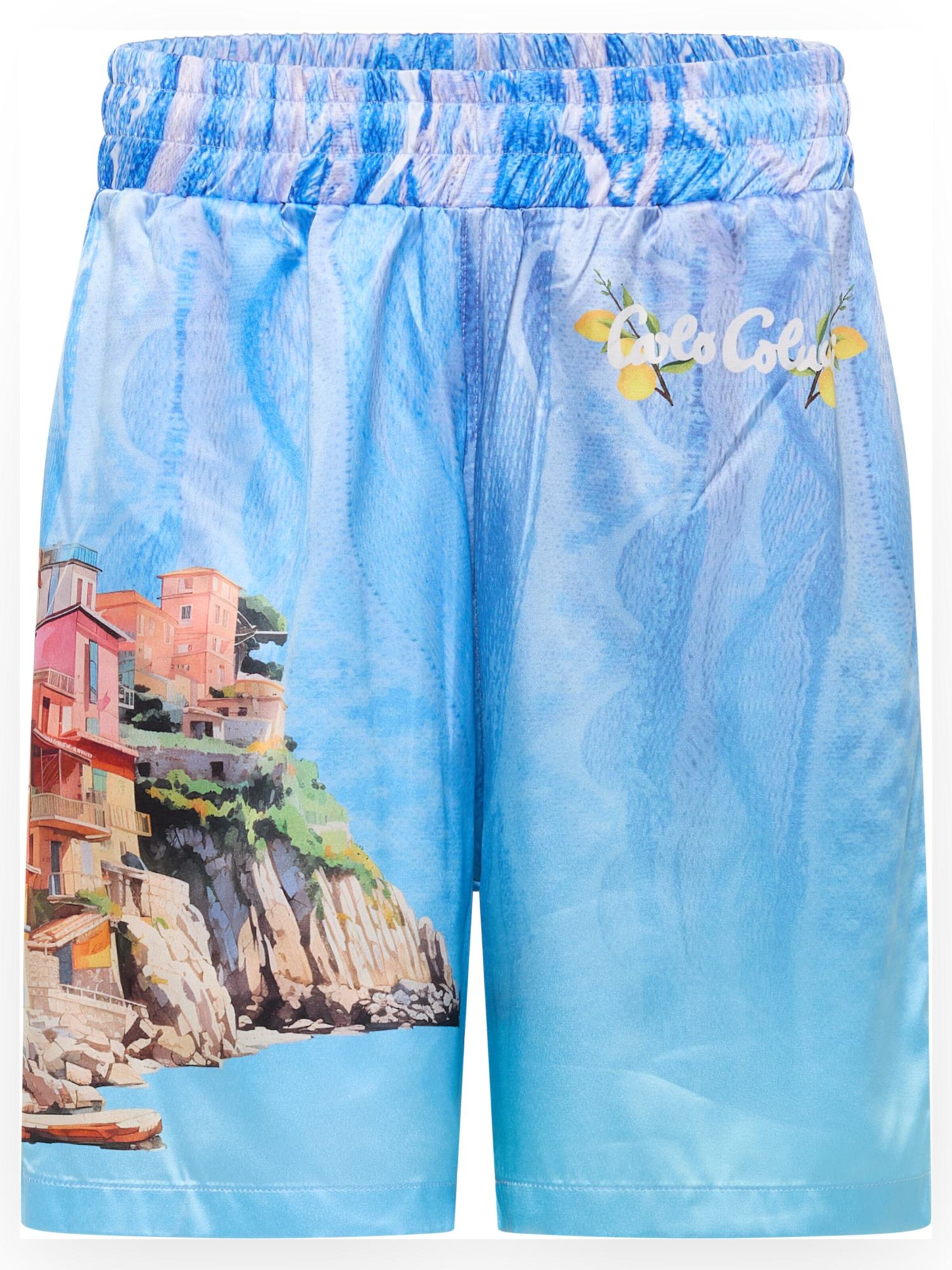 Carlo Colucci Regular Pants 'Eichacker' in Blue: front