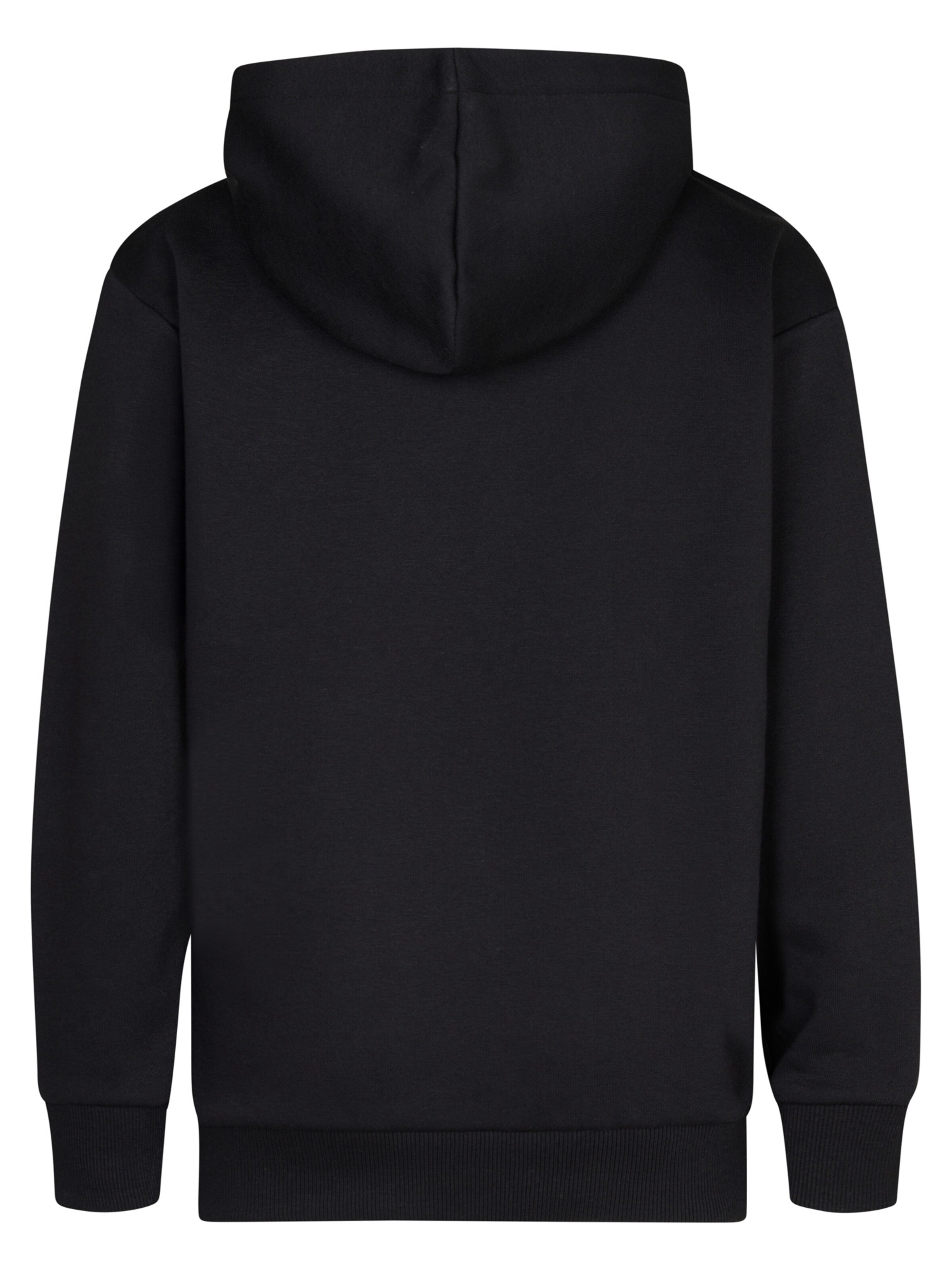 Petrol Industries Sweatshirt 'Ozark' in Black