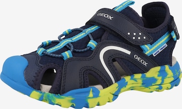 Chaussures ouvertes 'Borealis' GEOX en bleu : devant