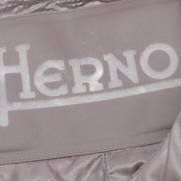 Herno Übergangsjacke XL in Grau