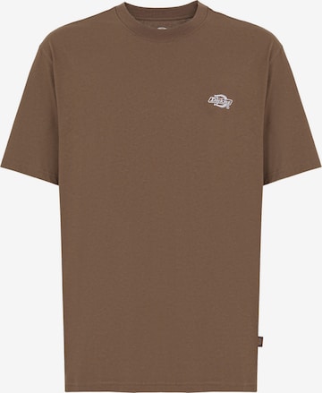 T-Shirt 'Summerdale' DICKIES en marron : devant