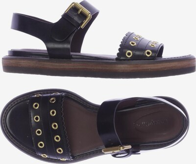 See by Chloé Sandals & High-Heeled Sandals in 39 in Black, Item view