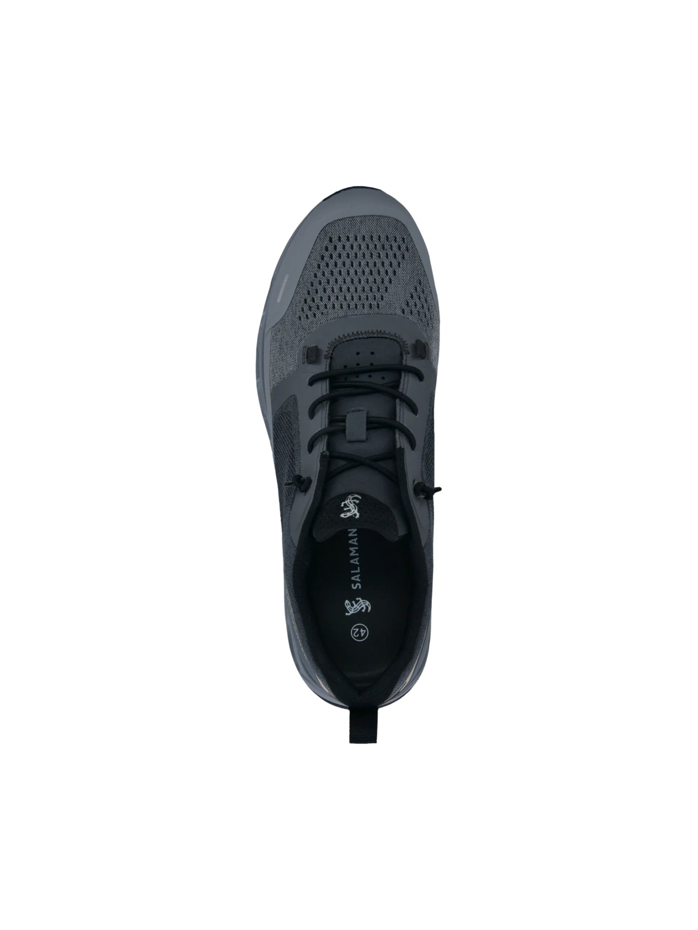 SALAMANDER Sneakers in Grey