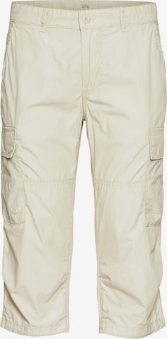 CAMEL ACTIVE Cargo Pants in Beige: front