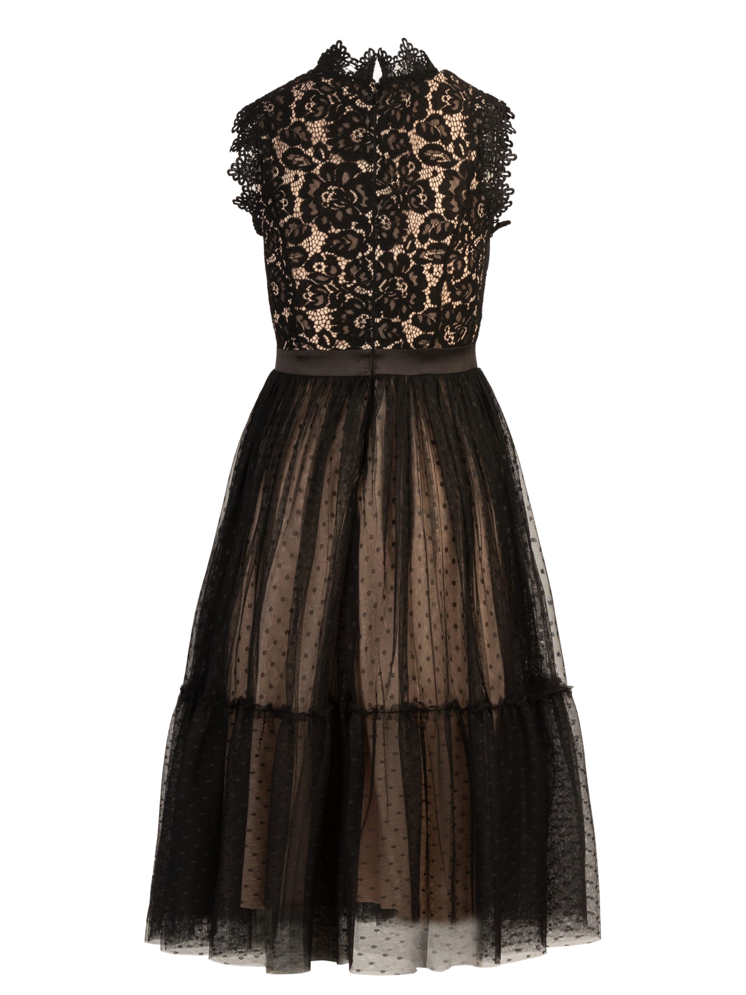 APART Lace dresses Buy online ABOUT YOU