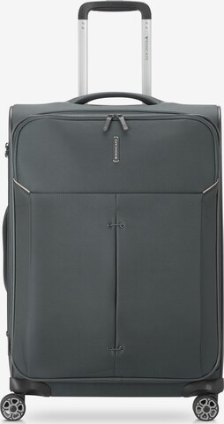 Roncato Cart in Grey: front