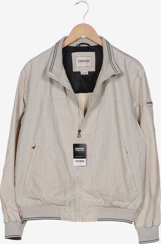 GEOX Jacket & Coat in L-XL in Grey: front