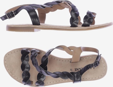 LAZAMANI Sandals & High-Heeled Sandals in 37 in Black: front