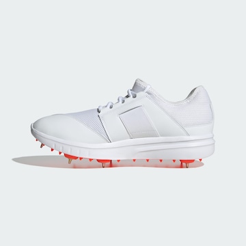ADIDAS PERFORMANCE Sports shoe 'Howzat Spike 20' in White