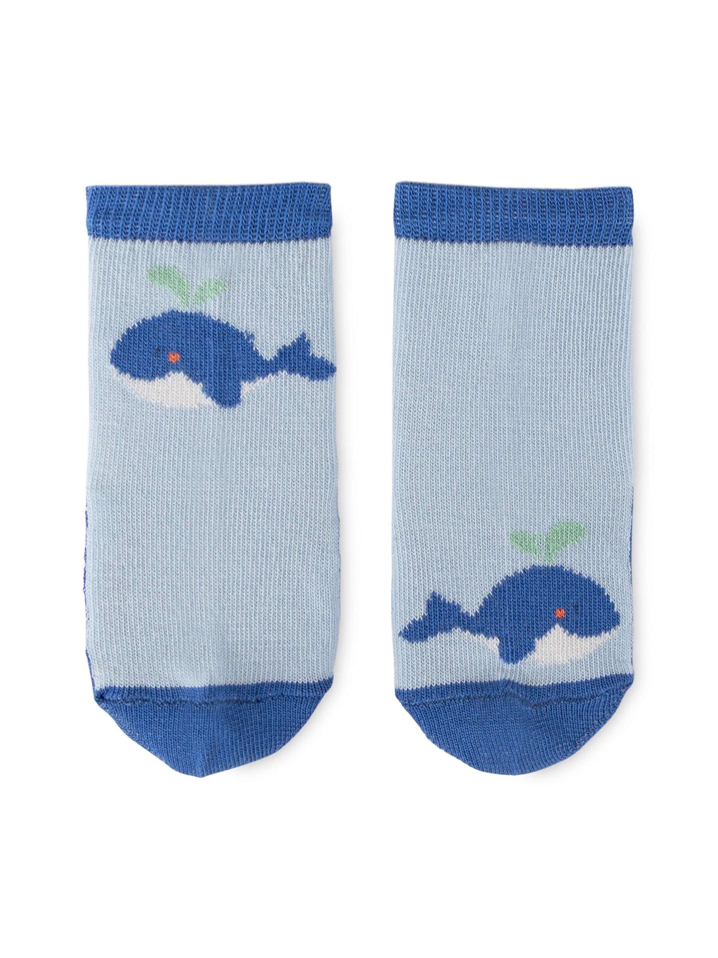 SIGIKID Socken 'Sockenset 3er Classic Baby'‌‌‌‌‌‌ in Mischfarben