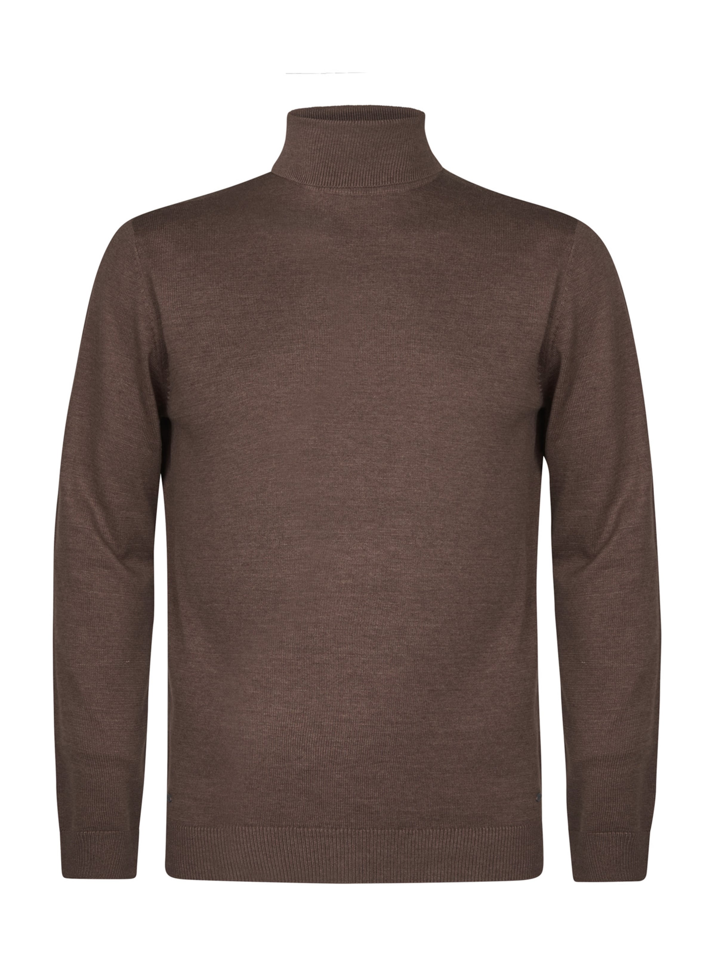 Petrol Industries Пуловер в кафяво, Преглед на продукта