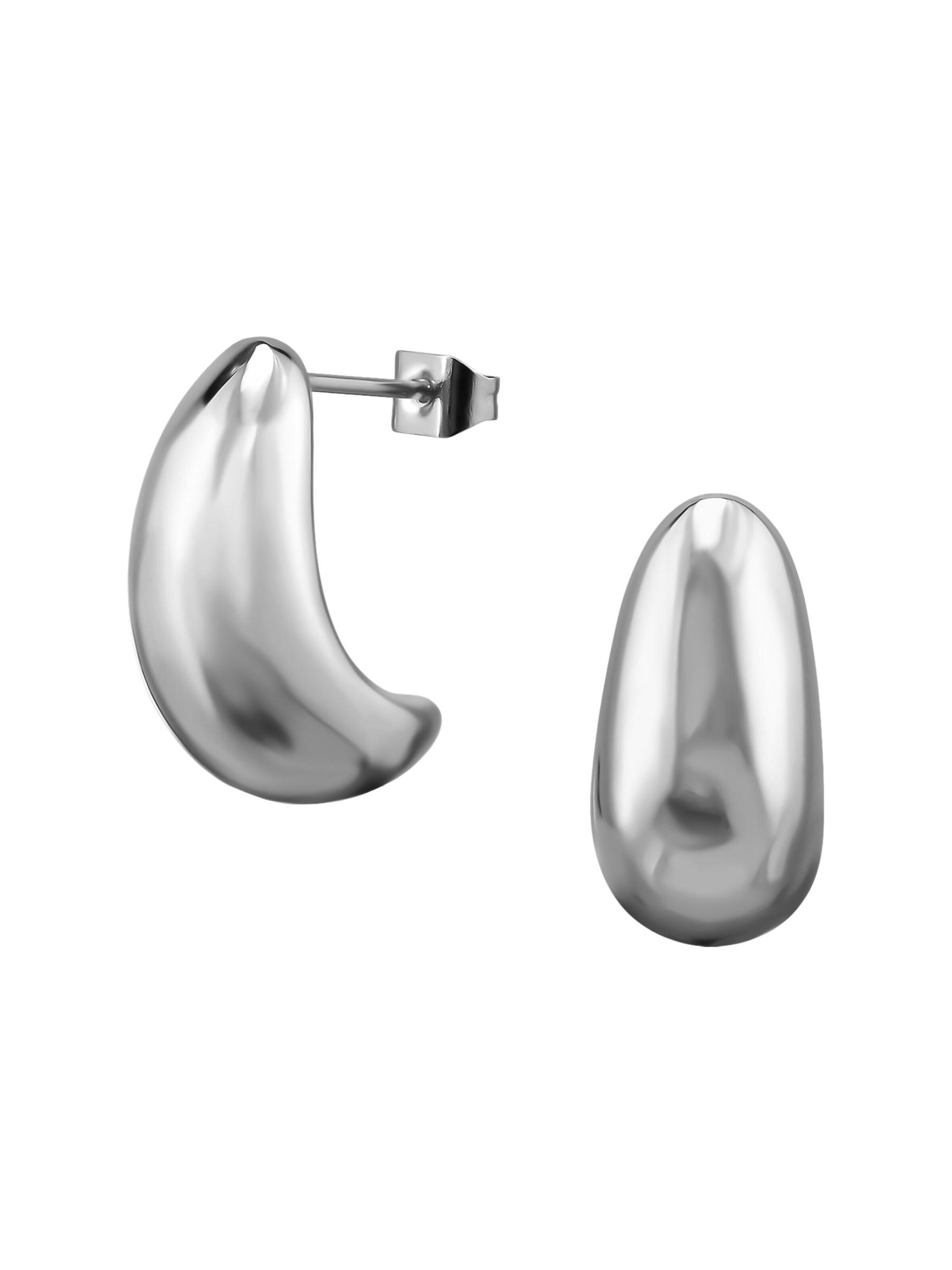 Maxte Earrings in Silver