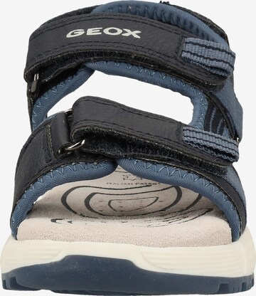 GEOX Open schoenen 'Alben' in Blauw