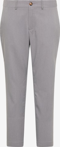 usha BLACK LABEL Hose in Grau: predná strana